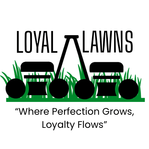 Loyal Lawns LLC
